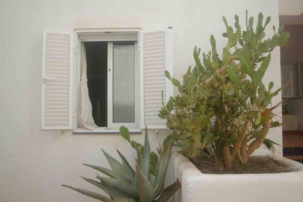 Apartamento A 2 Minutos Andando A La Playa. La Isleta del Moro Dış mekan fotoğraf