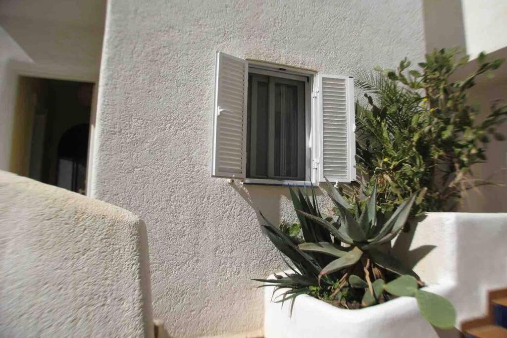 Apartamento A 2 Minutos Andando A La Playa. La Isleta del Moro Dış mekan fotoğraf